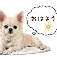 Cute Tama Daily
