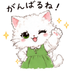 Bright -eye white cat&nbsp; &nbsp;123
