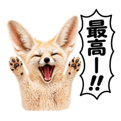 Listen to the Animals!