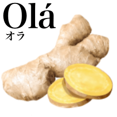 Flesh Ginger 18