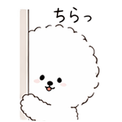 Fluffy Bichon Frise Daily Stickers