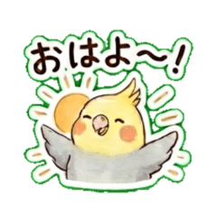 Cockatei - Daily Chat Stickers