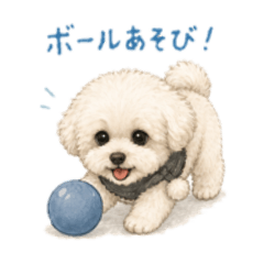 ponpokopopo_20260429195842