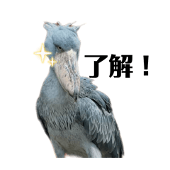 Funny bird stamps