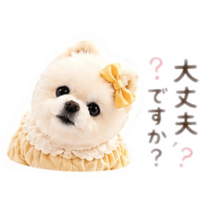 popochan_20260429202902