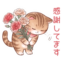 父の日・母の日にも！想いを伝えるねこ達