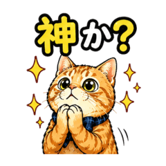 Nalgo053_20260429204245