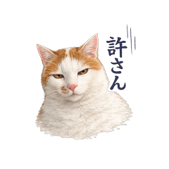 Chikuwa & Tora the Orange Tabby Cats
