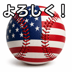 American flag patterned bas...