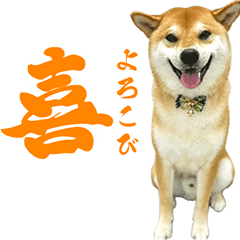 Makinosuke 2