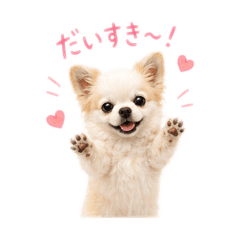 Light's cute daily life stamp