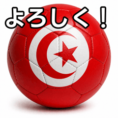 A soccer ball with Tunisian flag design