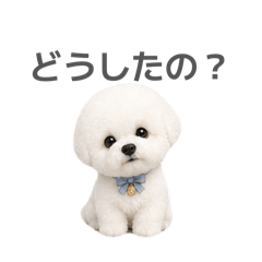 mofuko_20260429212410