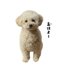 hanachan wanko