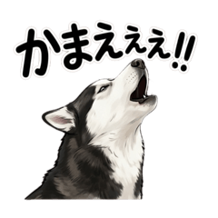 HANABI_20260429215313