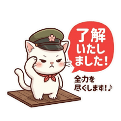 Polite White Cat.1