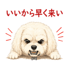 Maltese Sassy Stickers NanoLife