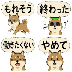 Derpy Shiba: "I'm Done" Stickers