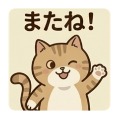 super tabby  CAT II