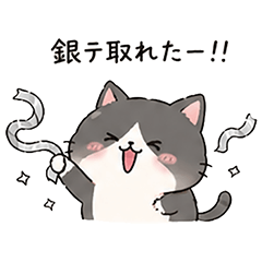 Bear and Cat Oshikatsu Stickers JP