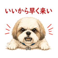 Shih Tzu  Sassy Stickers NanoLife