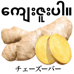 Flesh Ginger 22