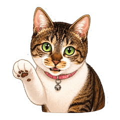 Charming Cat Everyday Stickers