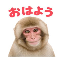 coco._202604
