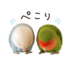 0822:NAC_Bird_20260429234537