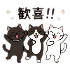 Expressive Black Cat & Friends Daily