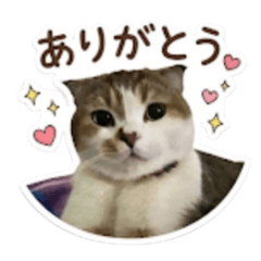 Omochi-kun stiker 3
