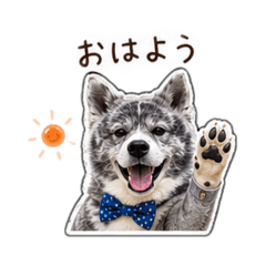 kohakurin_20260429234152