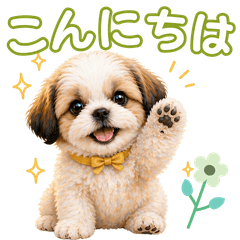 Cute and gentle Shih Tzu Stickers