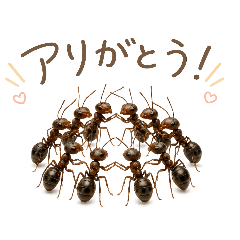 yuu_20260430013530