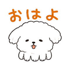 Fluffy Multi-Legged Puppy