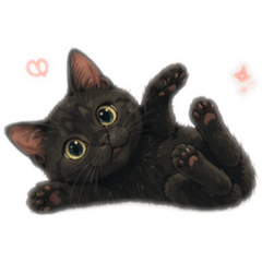 neko to otto no kurashi_20260430014236