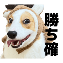 pokio_20260430021826
