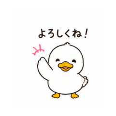 duck - Daily Chat Stickers