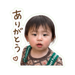 chima_20260430144815