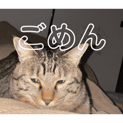 Hotachan stamp