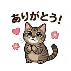 JUNYA_20260430224427