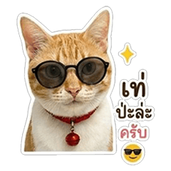 Lucky-01