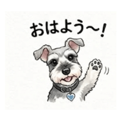 Miniature Schnauzer Daily Chat Stickers