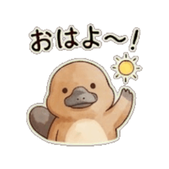 platypus0430