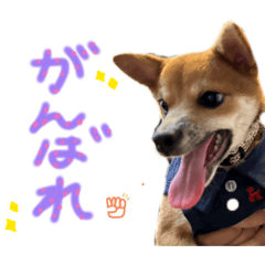 y_20260430151209