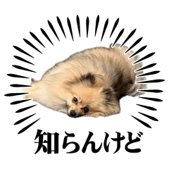 kantoku_20260430151716