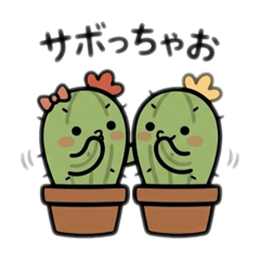 choco_mint_20260430083748