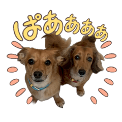 hiro_20260430082620