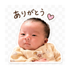 Ruito_20260430151750