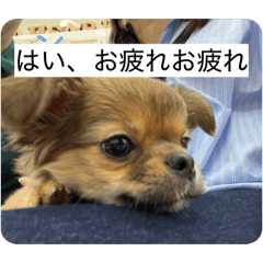 morio.com_20260430151920
